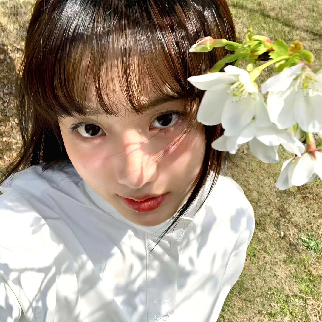 薰衣草和夏天